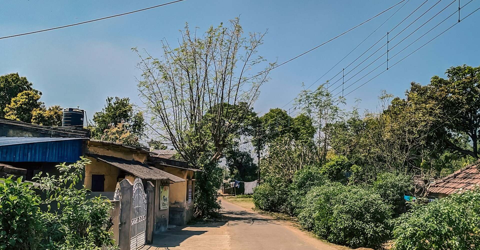 A village road lined with homes and trees