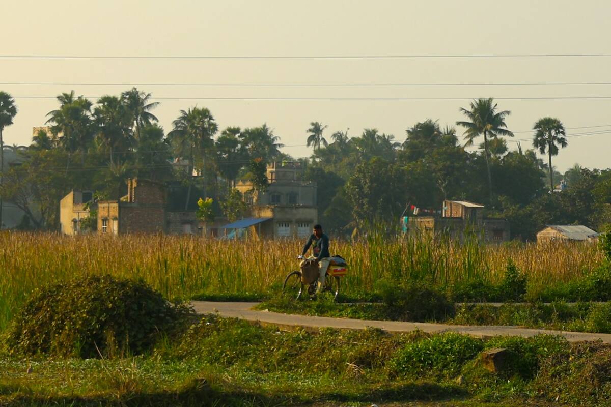 A cyclist on a path through open fields at golden hour