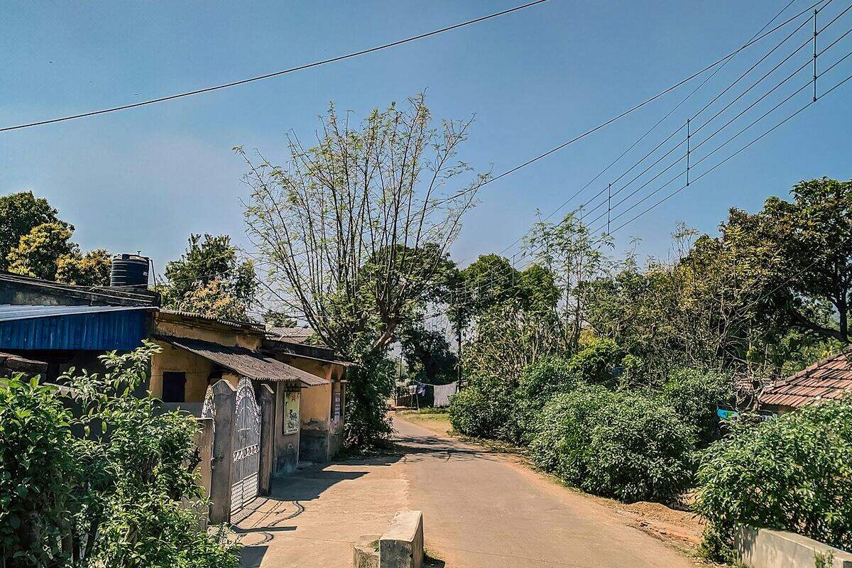 A quiet village road lined with homes and trees